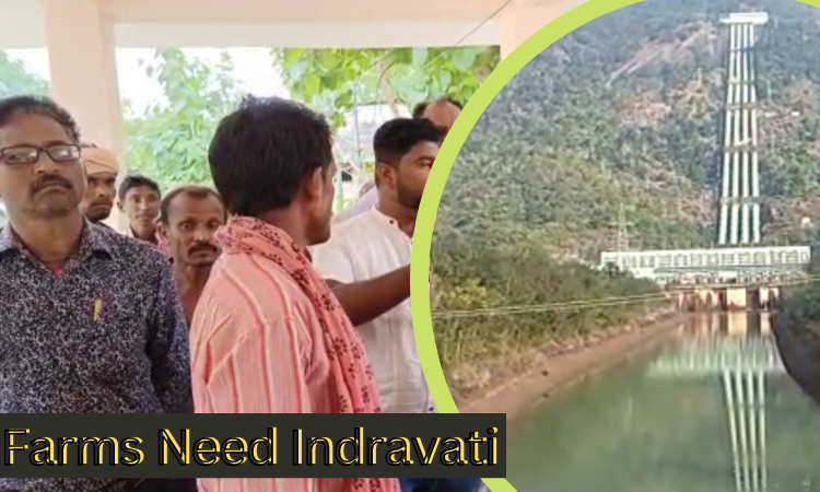 Farms Need Indravati