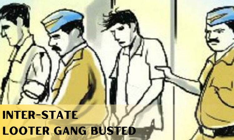 looter gang busted