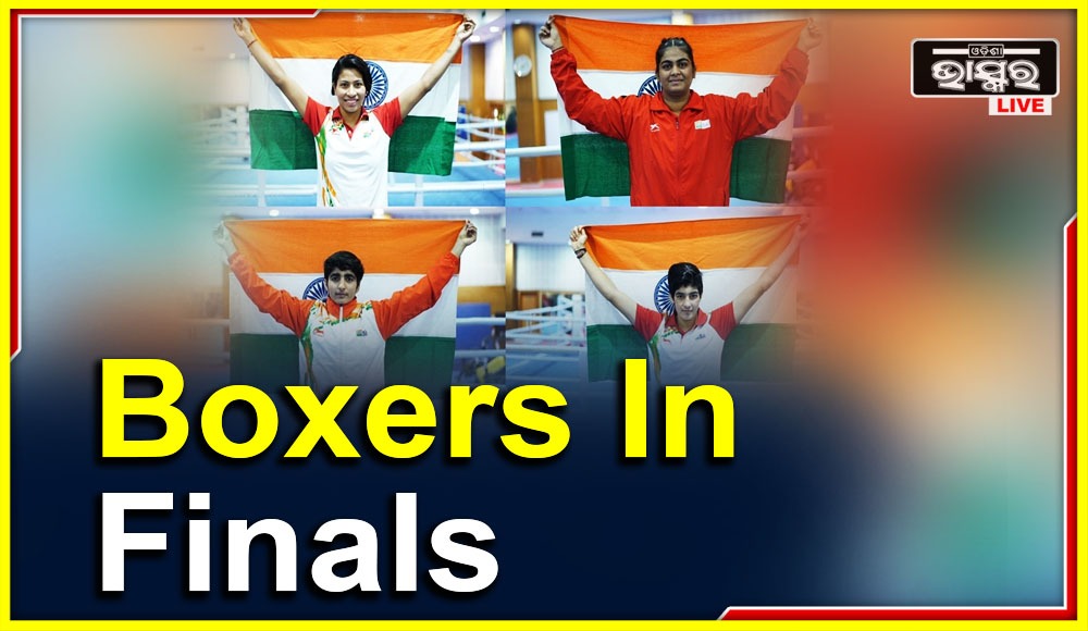 Indian Boxers