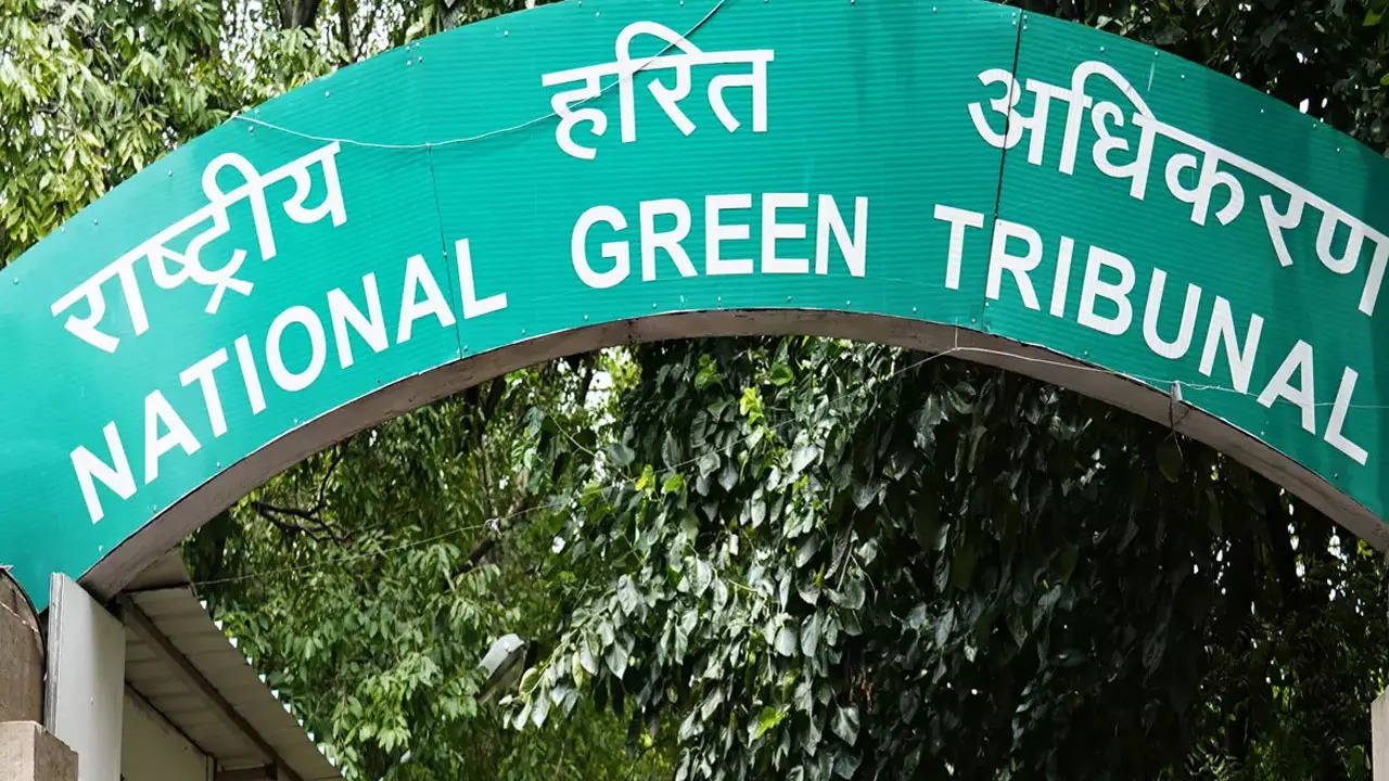 NGT Imposes Rs 42 Cr Fine on Odisha Company for Illegal Mining
