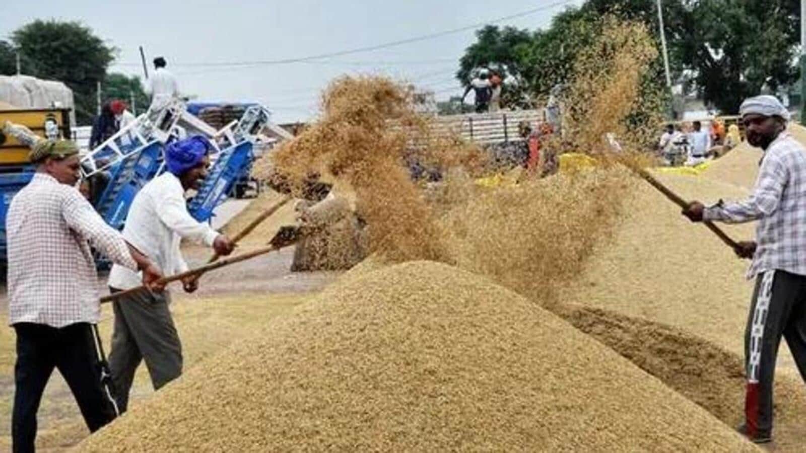 Sufficient Food Grains Stocks Available to Meet the Country’s Requirement: Govt