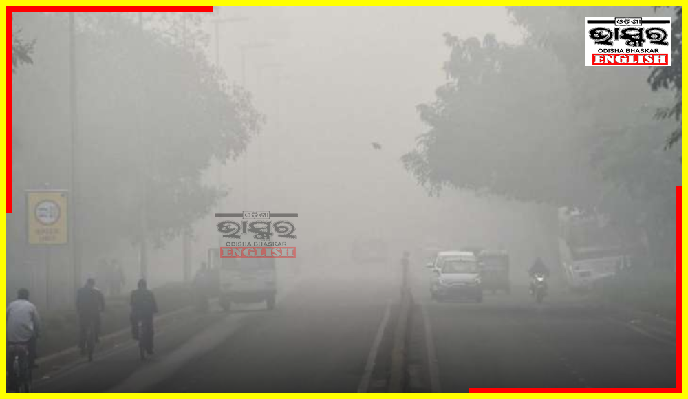 Odisha Braces for Chilly Mornings with Patchy Dense Fog: IMD Issues Yellow Warning