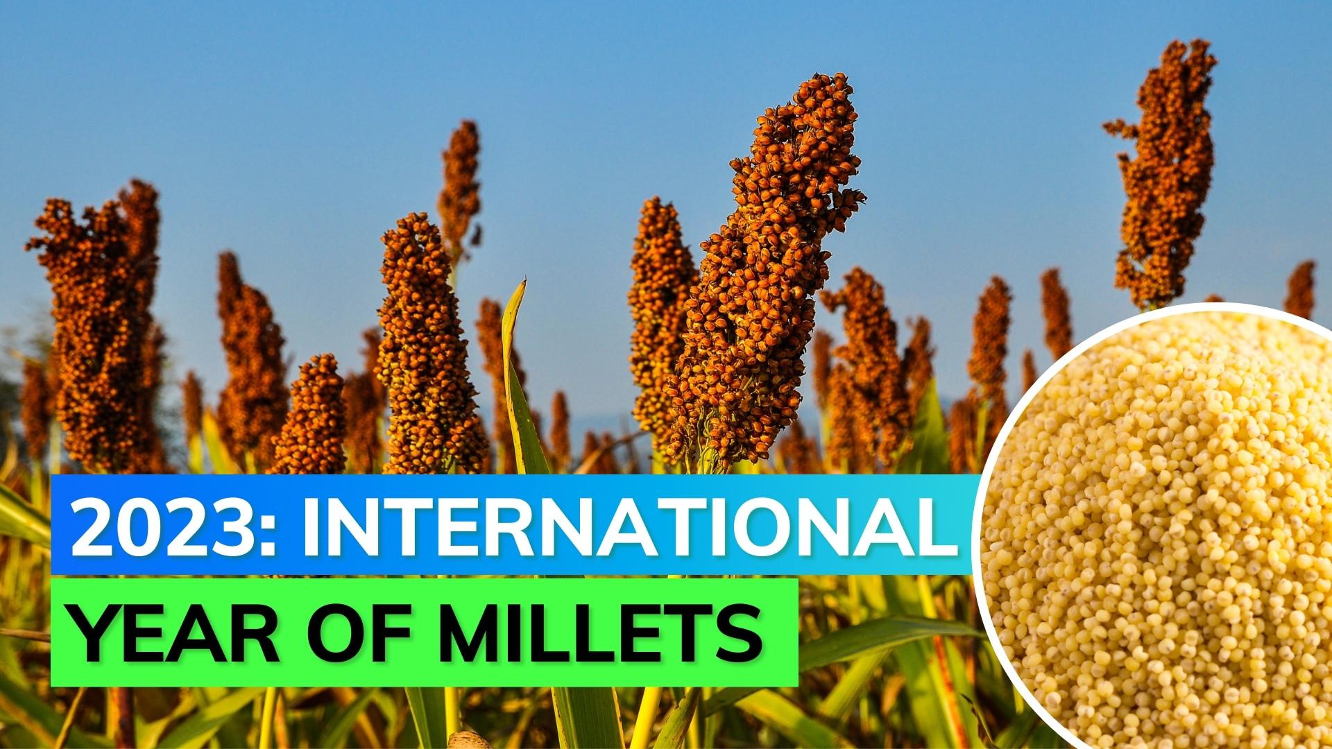 Bhubaneswar to Host India’s 1st International Millet Convention on Nov 9-10