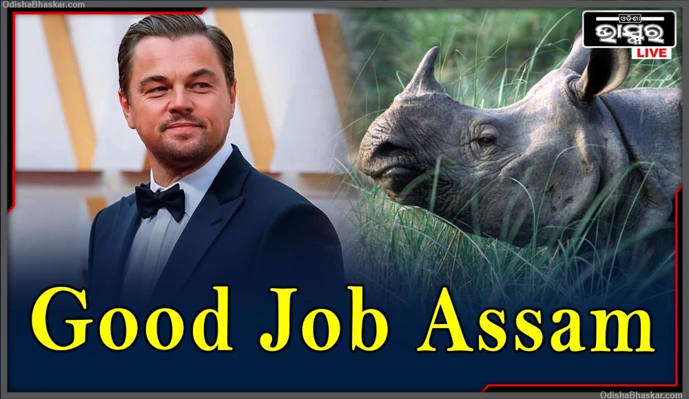 Leonardo DiCaprio Praises Assam Government for Nil Rhino Poaching