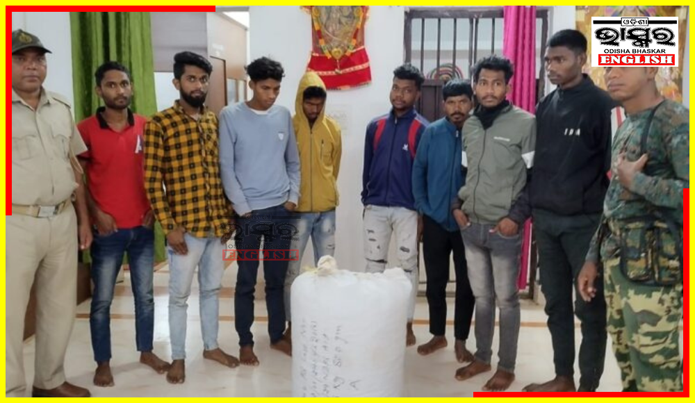 College-going Ganja Smugglers: 5 Students Among 8 Ganja Smugglers Arrested