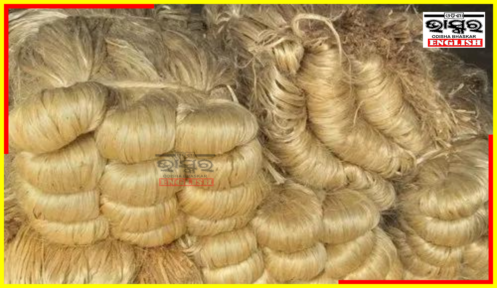 CCEA Approves MSP for Raw Jute at Rs. 5,050 Per Quintal for 2023-24
