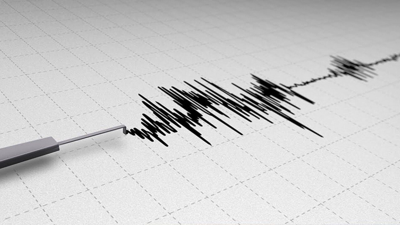 Earthquake Of Magnitude 4.6 Jolts Japan's Izu Islands