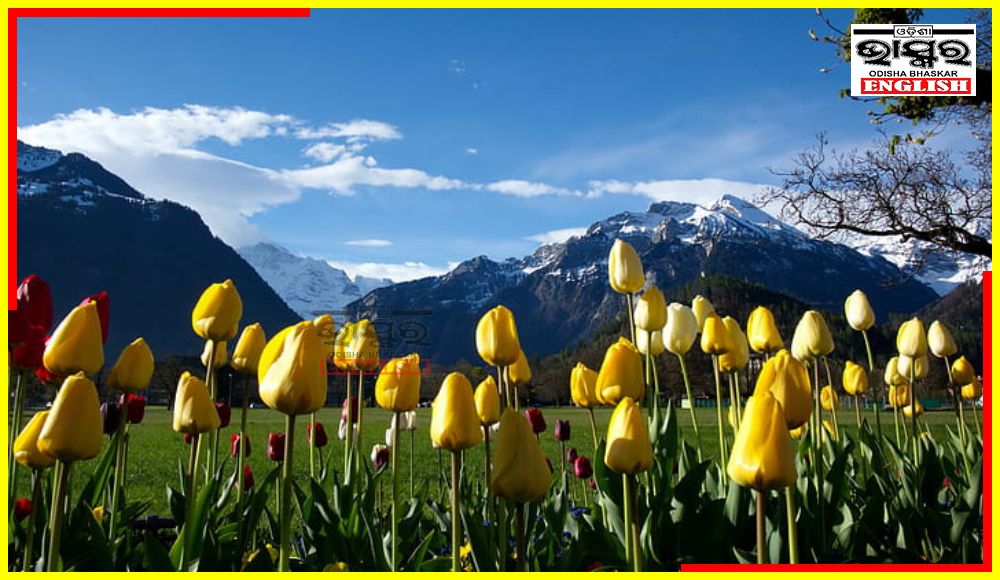 PM Modi Praises Beauty of Jammu & Kashmir for Tulip Season