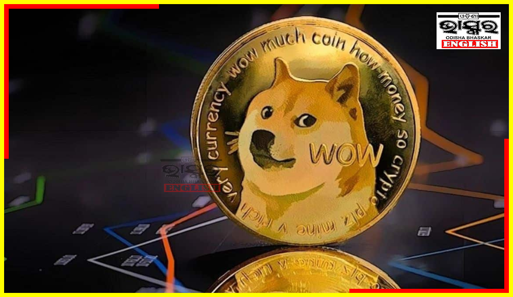 Dogecoin's Price Skyrockets After Elon Musk Changes Twitter Web Logo to Viral Meme Dog Shiba Inu