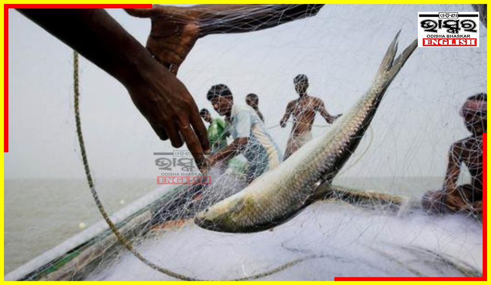 Odisha Bans Marine Fishing Till June 14 for Fish Breeding Season