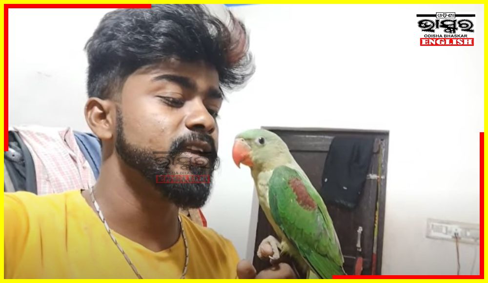 YouTuber Arrested for Uploading Videos of Torturing Parrots in Keonjhar