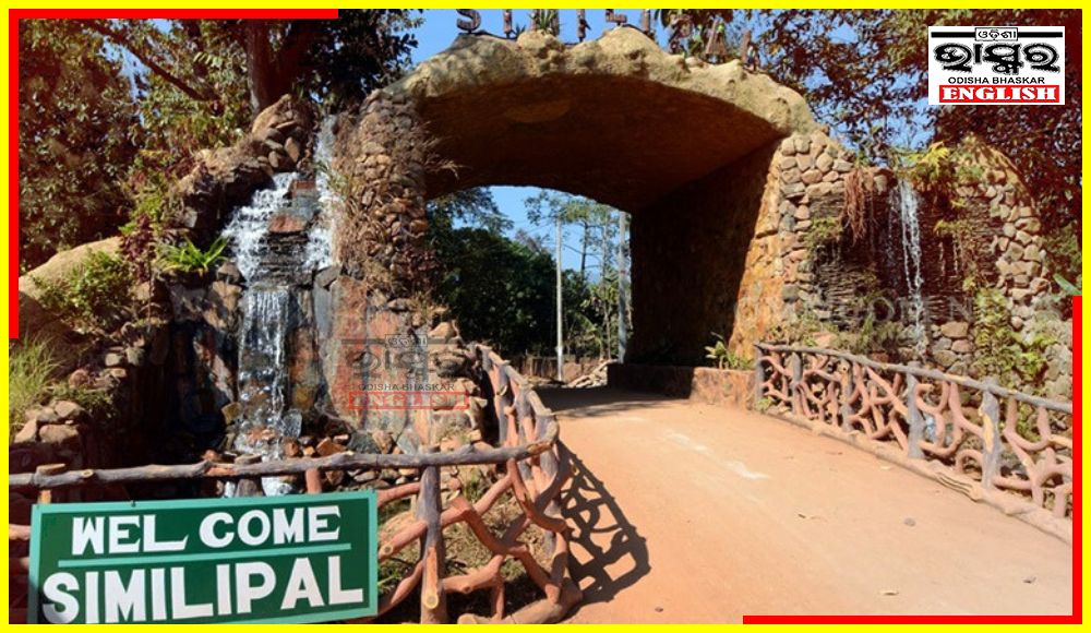 Similipal Tiger Reserve Closed for Visitors from June 12 Till September End