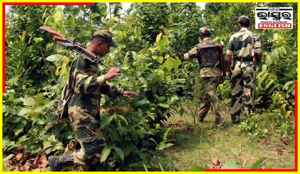 4 Maoists Slain in Encounter in Chattisgarh’s Bastar