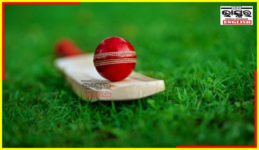 52-Yr-Old Man Dies Being Hit by Ball During Cricket Match