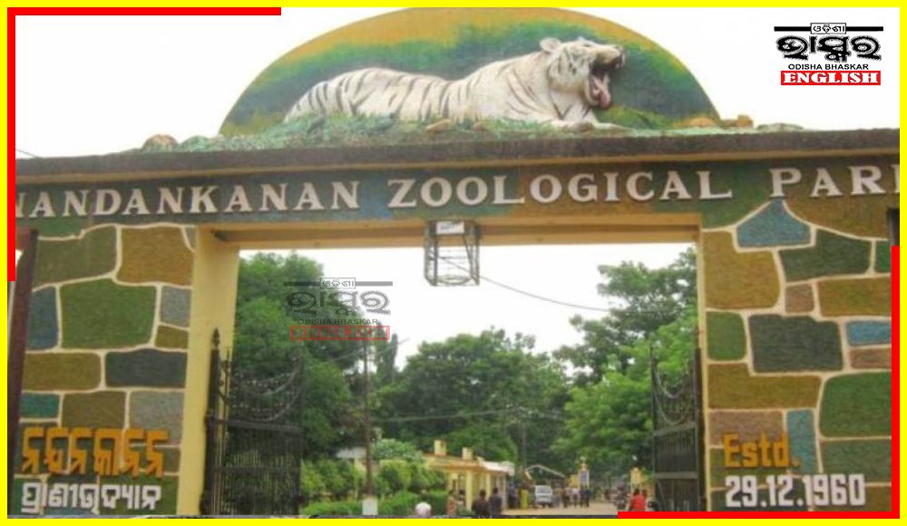 Nandankanan Zoo to Welcome New Species of Animals