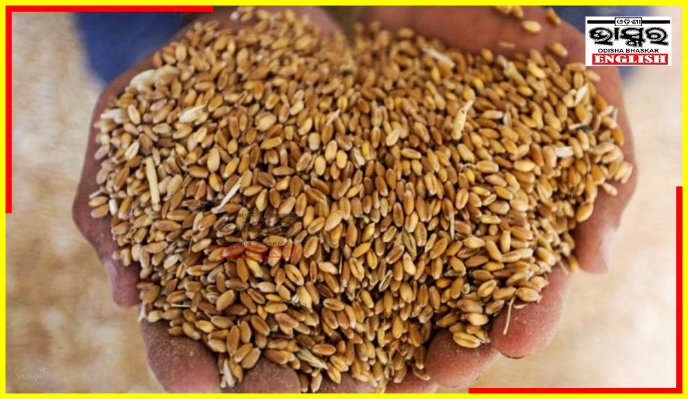 Centre Holds Talks with States to Stabilize Wheat Prices & Ensure Availability