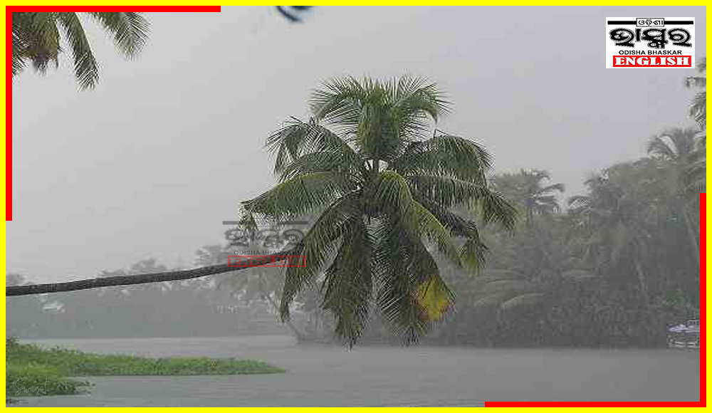 Monsoon Likely To Arrive Over Kerala Around May 31: IMD