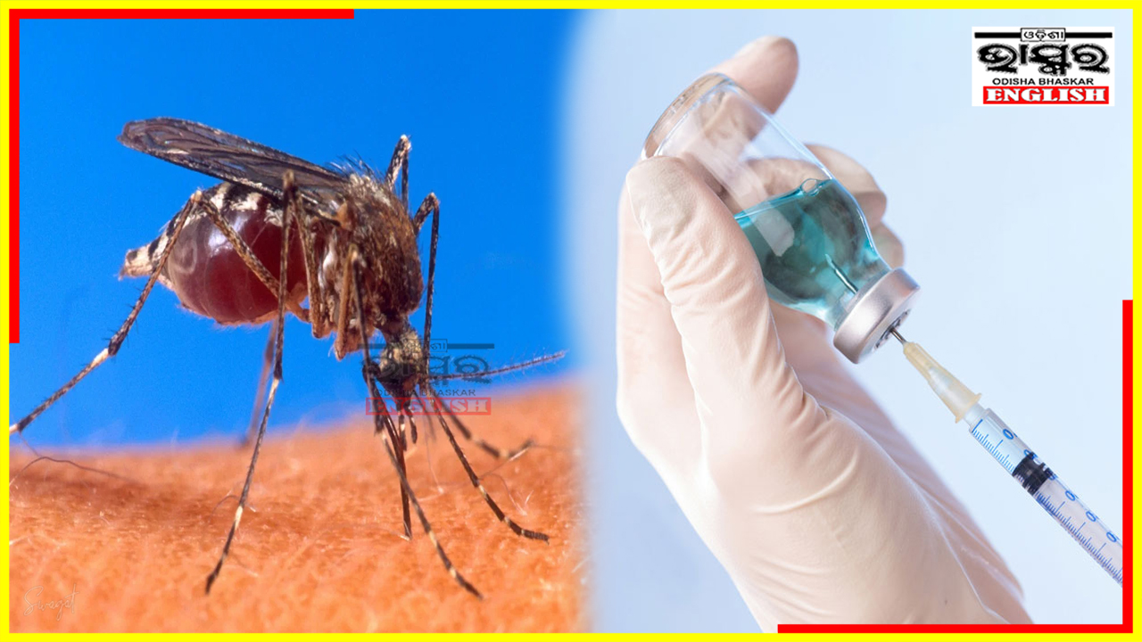 Promising Live Chikungunya Vaccine Shows 98.9% Protection in Human Trial