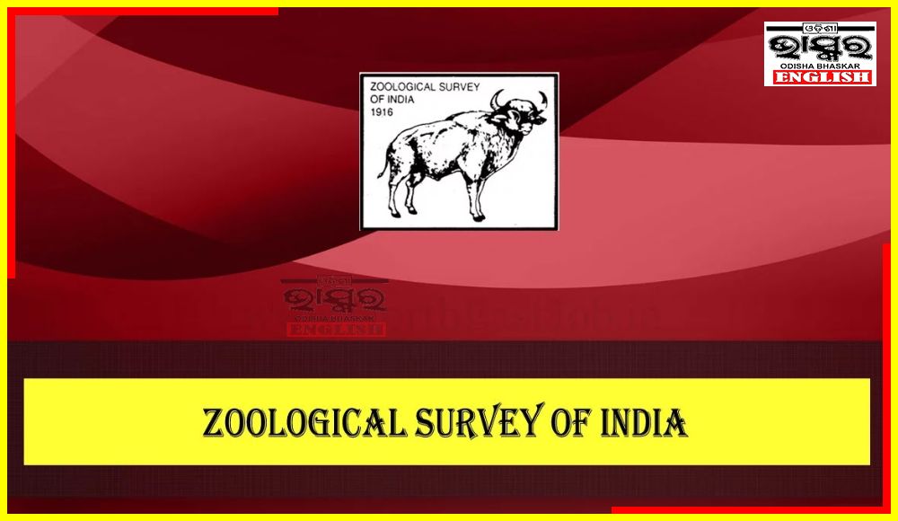 Zoological Survey