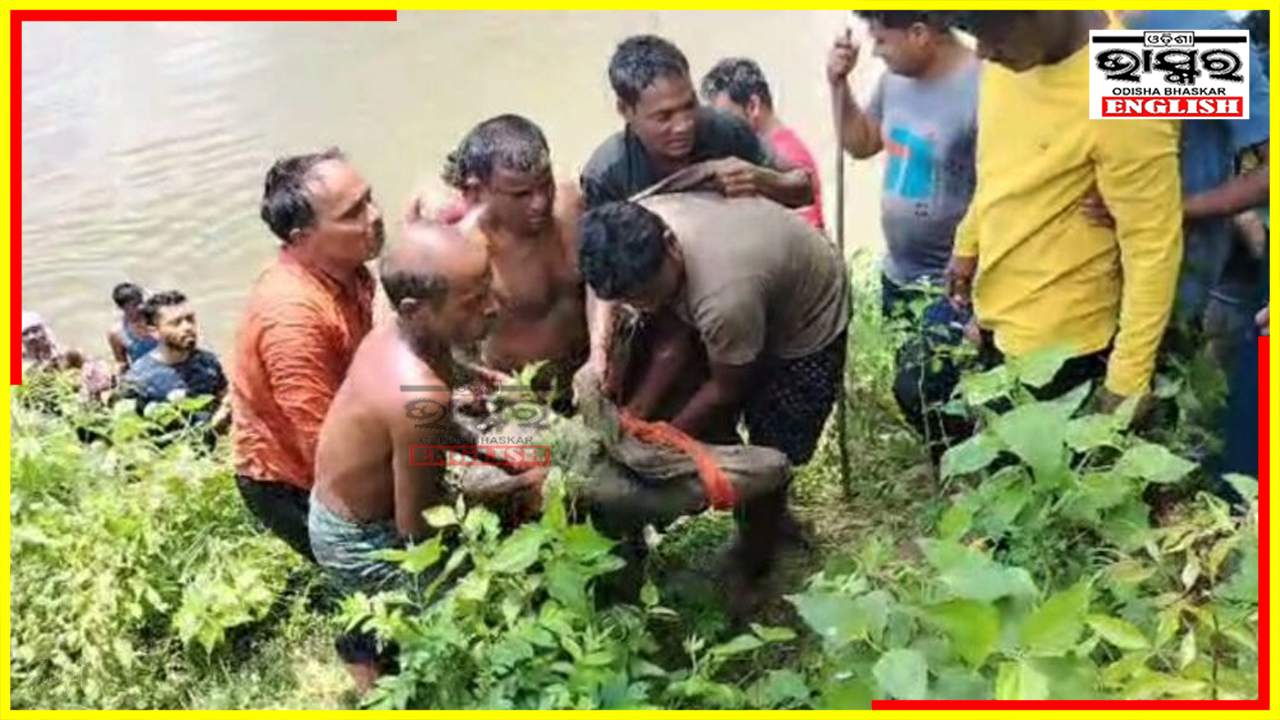 Mugger Rescued From Village Pond Amid Claims of Satkosia Sanctuary Escape a Year Ago