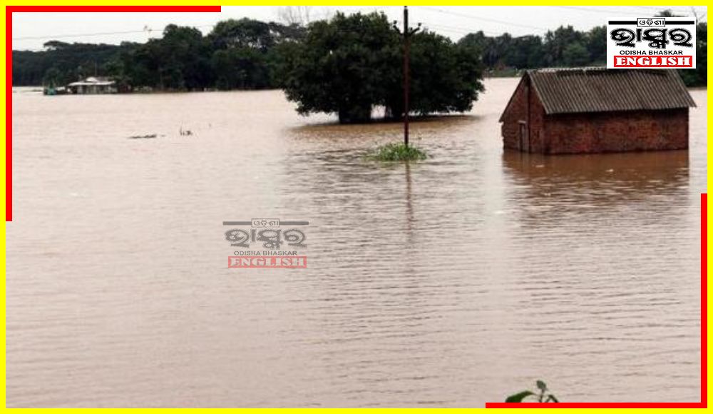 Mahanadi Flood: 5 Odisha Districts on High Alert