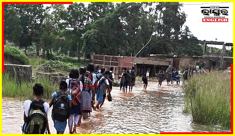 Odisha schools closed for rains
