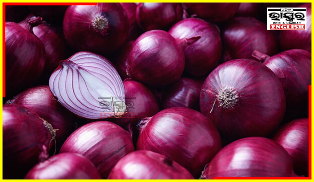 Onion Auction Resumes in Nashik After 13 Day Strike by Onion Traders