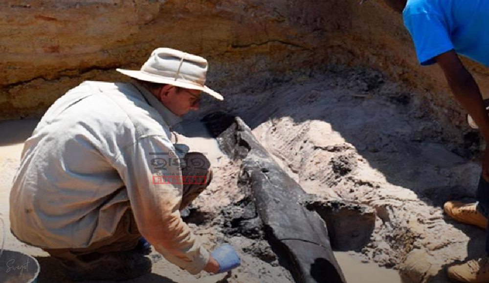 Archaeologists Discover World's Oldest Wooden Structure in Zambia