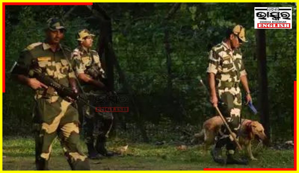 BSF Seizes Arms, Ammunition Near India-Pakistan Border in Punjab