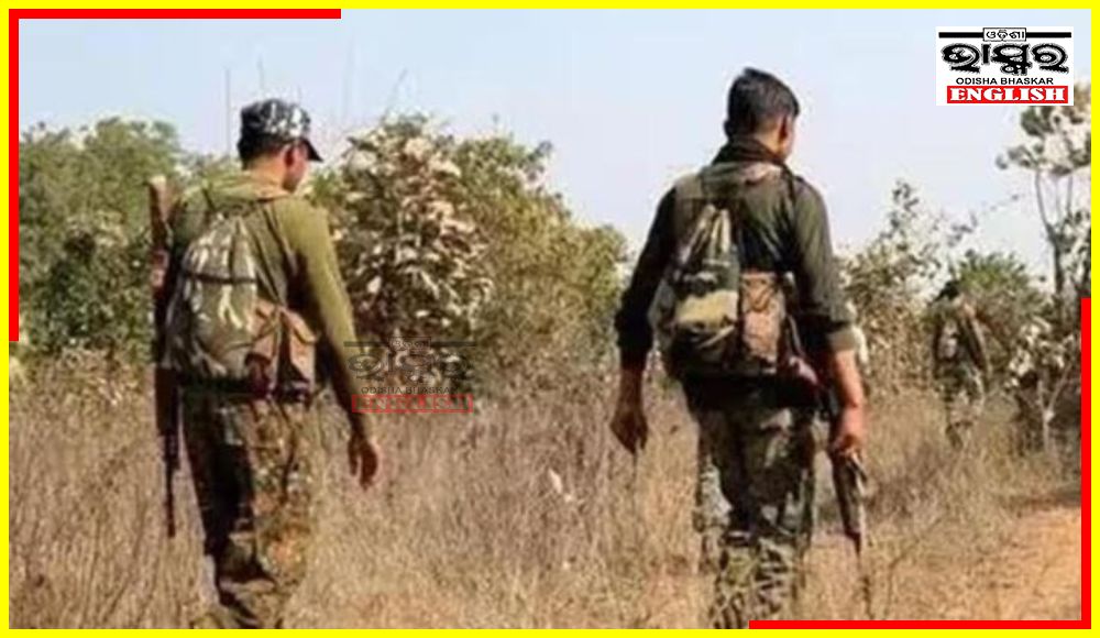 BSF Unearths Hidden Maoist Caches in Odisha's Malkangiri, Intensifies Operations