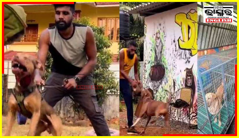 Dogs Trained to Attack Men in Khakis, Kerala Drug Peddlers Shocking Innovation