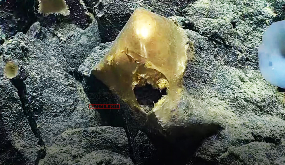 Golden Egg-Like Object Discovered At The Bottom Of Pacific Ocean Puzzles Scientists