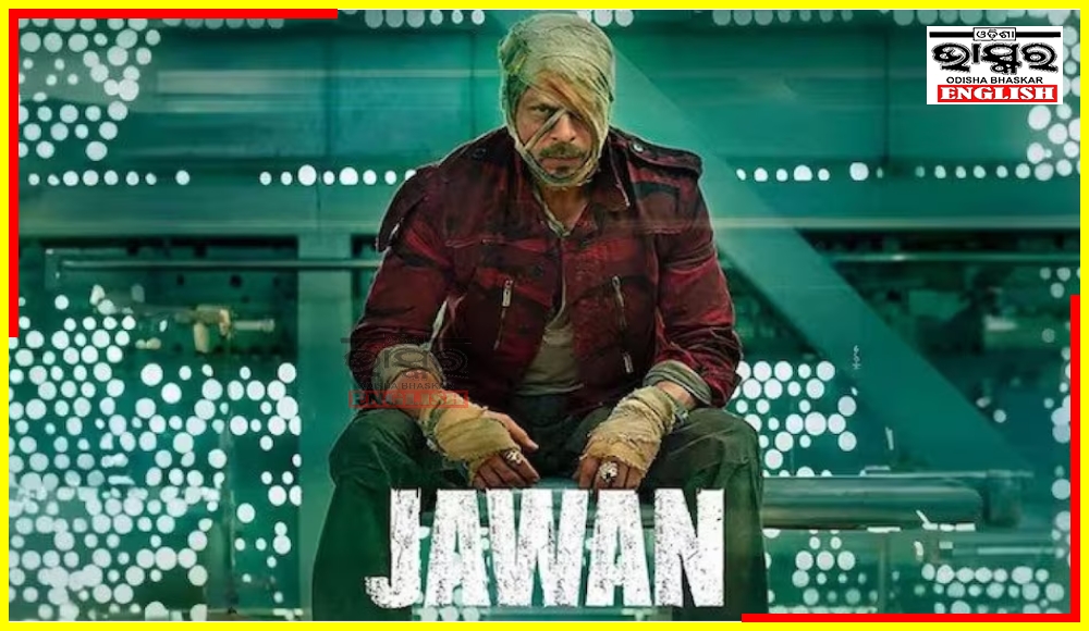 Jawan Beats Pathaan at Box Office, King Khan the Ultimate Winner