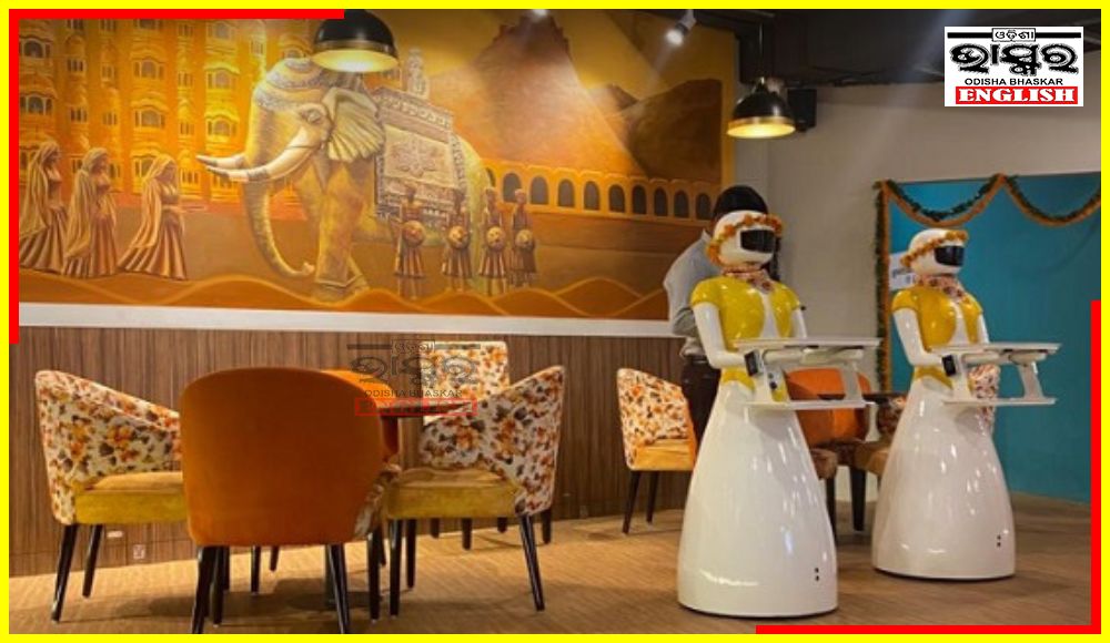 Robot Restaurant Opens in Lucknow, Here Robots Serve Customers