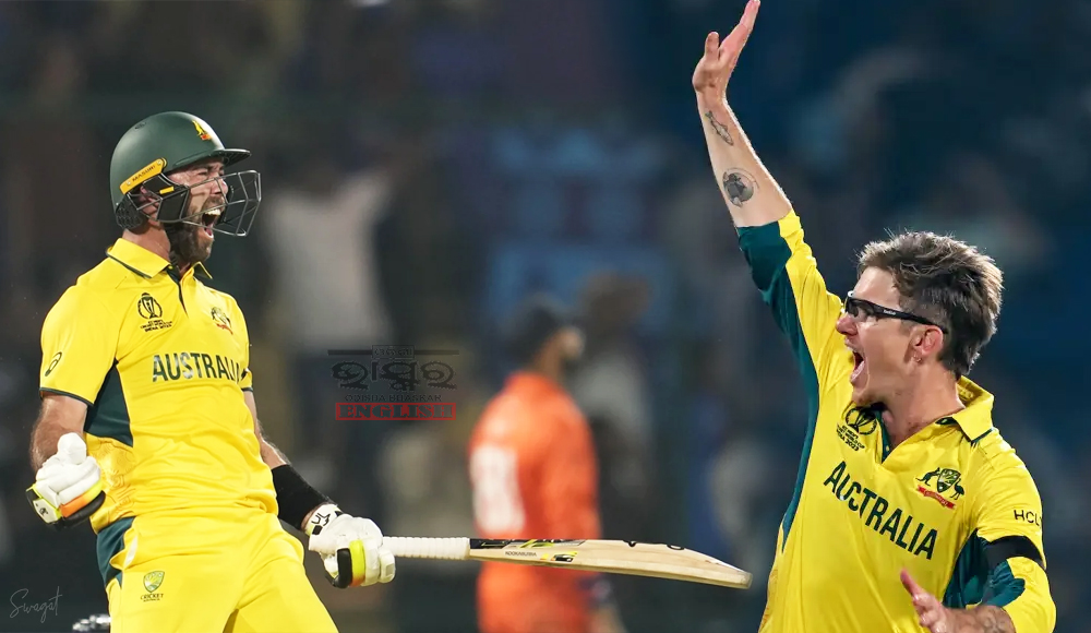 World Cup 2023, AUS vs NED: Warner, Maxwell Score Centuries as Australia Crush Netherlands By 309 Runs In Biggest-Ever WC Win