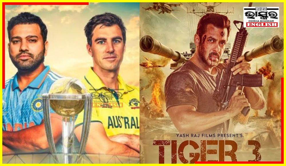 Craze for World Cup Cricket Final Dips Tiger 3 Box Office Earning to Lowest on Sunday
