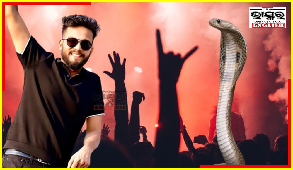 ED Files Money Laundering Case Against YouTuber Elvish Yadav in Snake Venom Rave Party Case