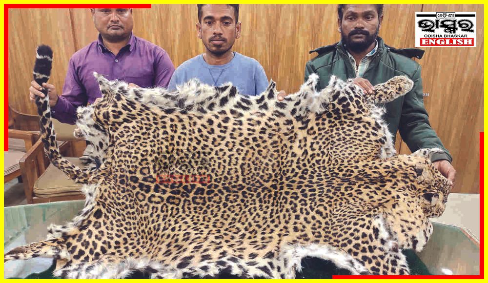 Three Men from Odisha Arrested With Leopard Skin West Bengal