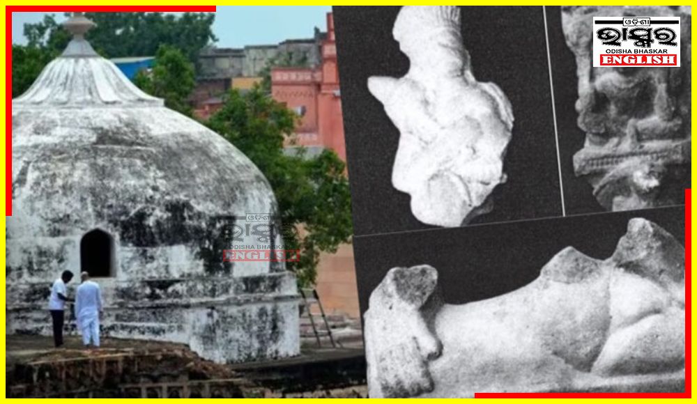 ASI Unearths Sculptures of 'Lord Vishnu', 'Hanuman' in Gyanvapi Mosque Complex