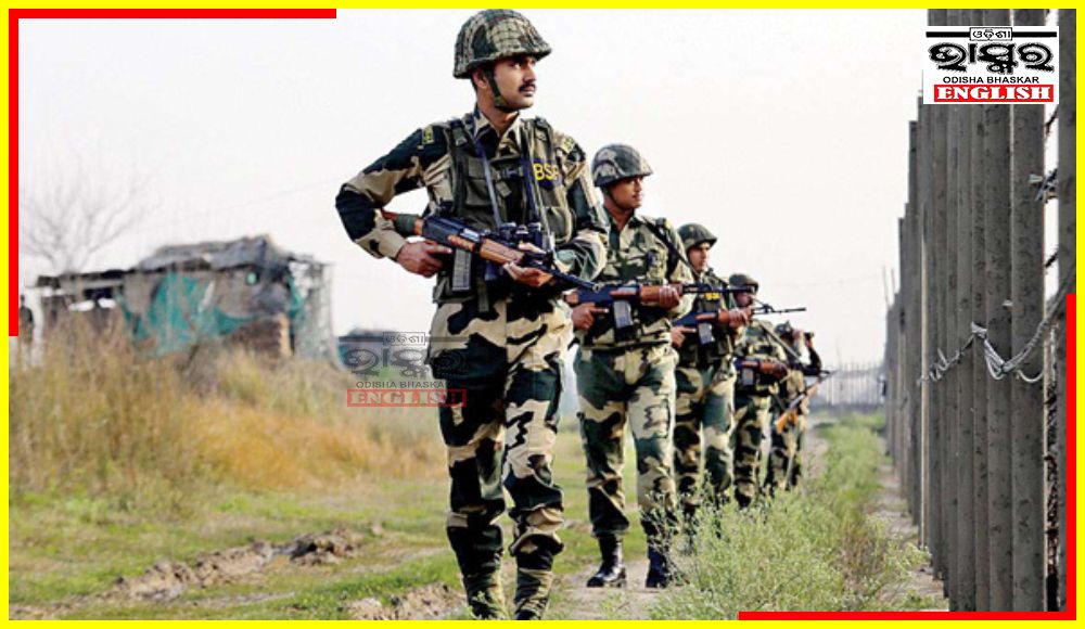 BSF Personnel Catch Pakistan National in Indian Territory in Punjab
