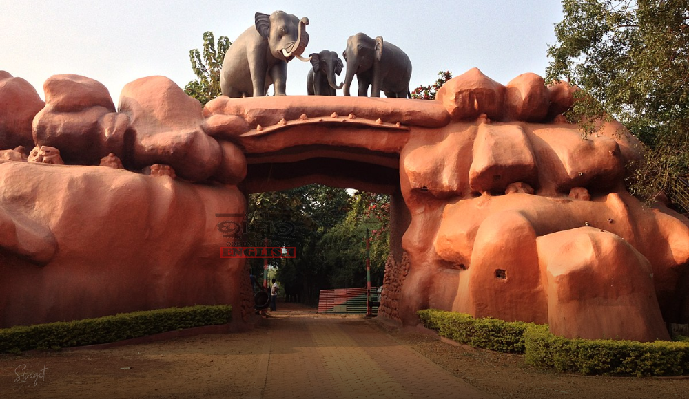 Chandaka Wildlife Sanctuary to Offer Night Safari Experience From January 29
