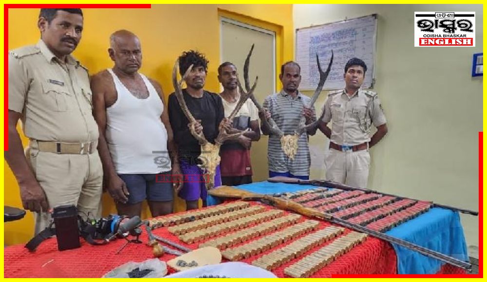 Four Poachers Arrested in Berhampur, Deer Horns & Guns Seized