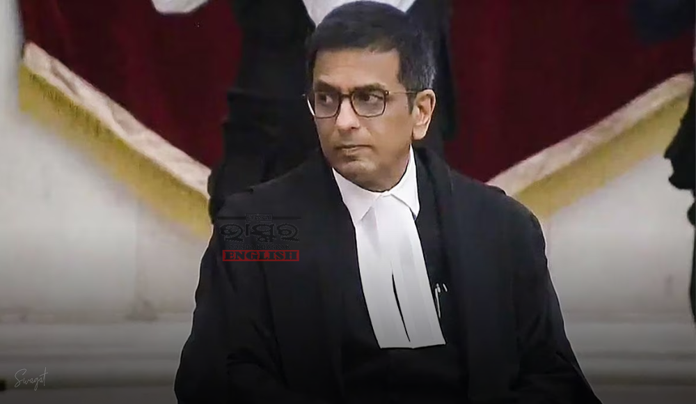 "Lower Your Voice Or I'll Have You Removed From Court": CJI Chandrachud Rebukes Lawyer For Aggressive Tone
