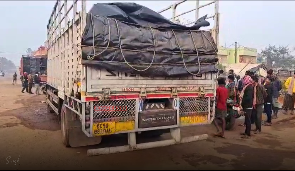 Police Seize 2 Trucks Carrying Beef & Cattle in Odisha's Khordha, 5 Detained