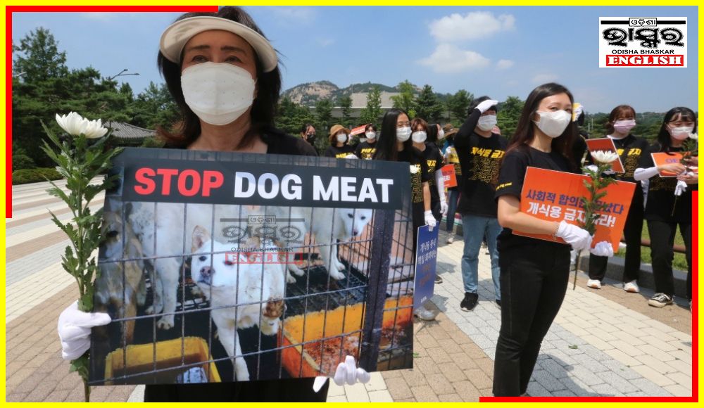 South Korea Parliament Bans Dog Meat Consumption