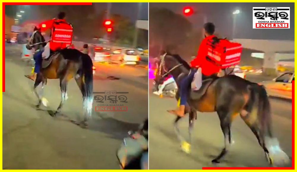 Zomato Agent Gallops on Horse to Deliver Food on Time
