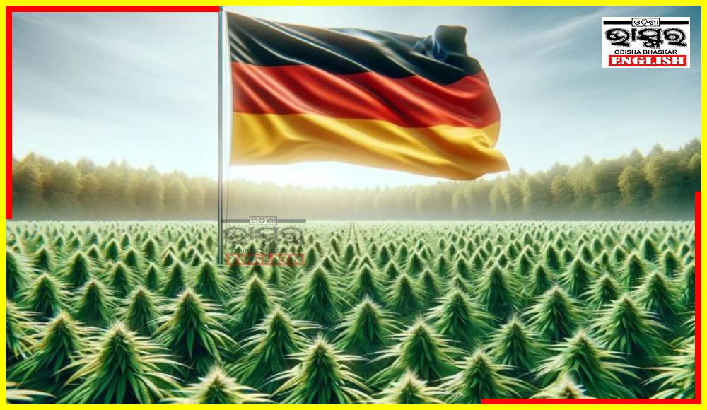 Germany Legalizes Personal Cannabis Use with Conditions