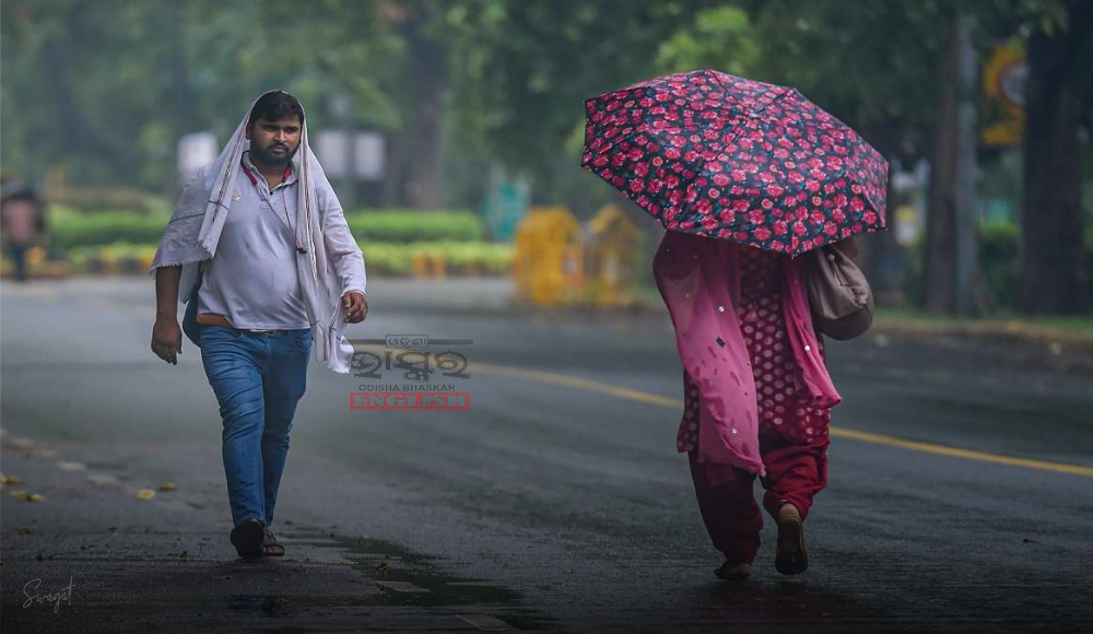 Light to Moderate Rainfall Likely in Several Odisha Districts Over Next 2 Days: IMD
