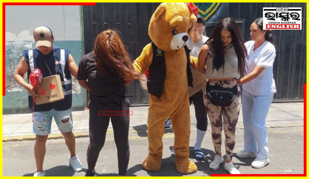 Teddy Bear Catches Drug Traffickers on Valentine’s Day in Peru