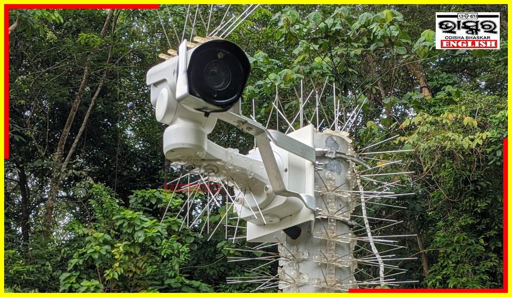 360-Degree Surveillance Cameras to be Used to Check Forest Fires in Similipal